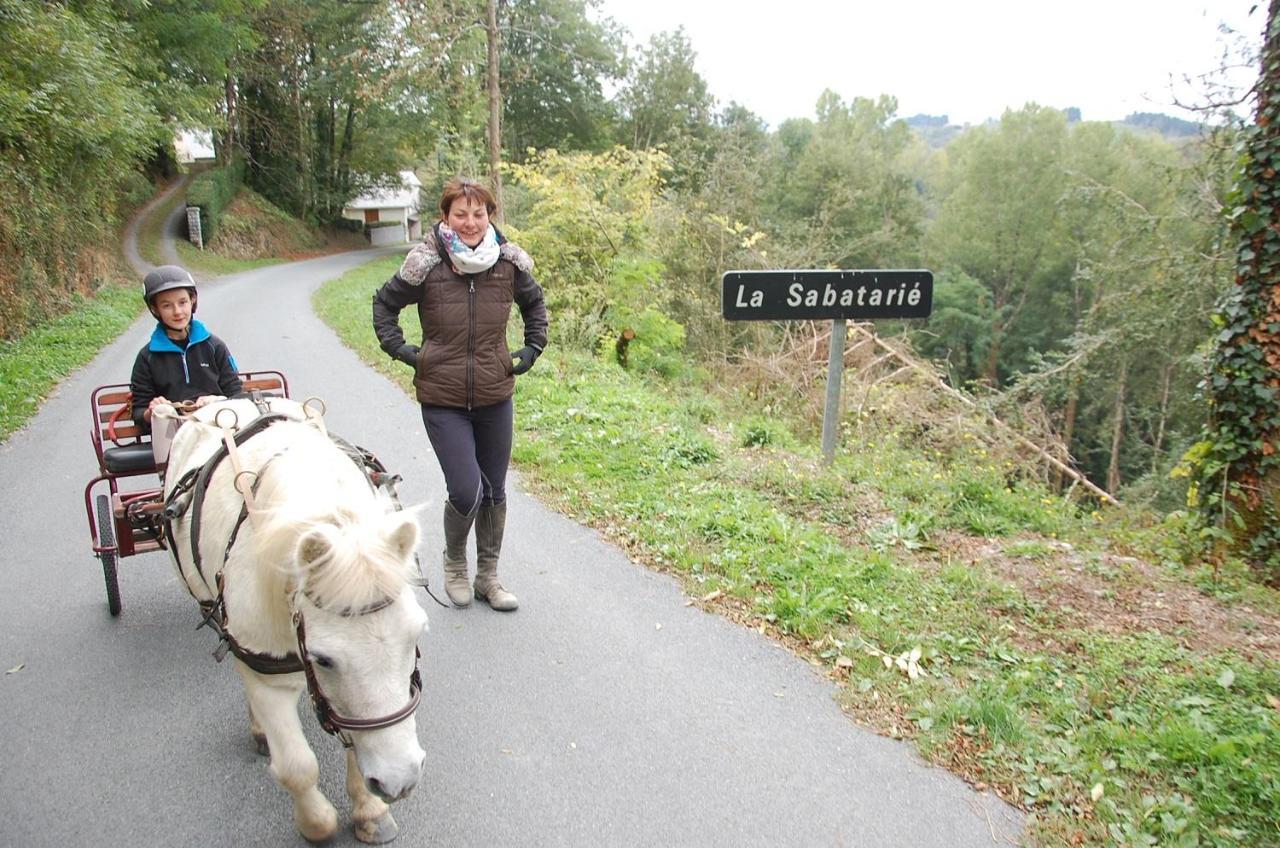 Les Ecuries De La Sabatarie Cambounes Exterior foto